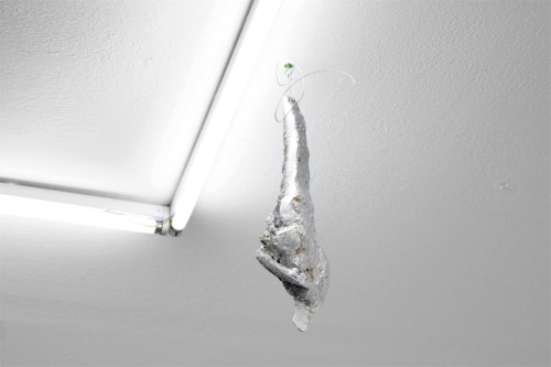 Antoine Renard - 1 Lunatic 1 Ice Pick