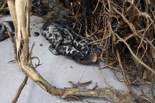 Antoine Renard - 1 Lunatic 1 Ice Pick