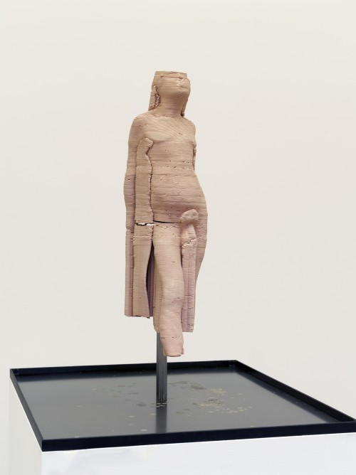 Antoine Renard - amnesia