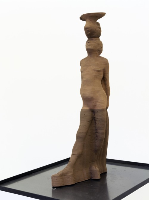 Antoine Renard - amnesia