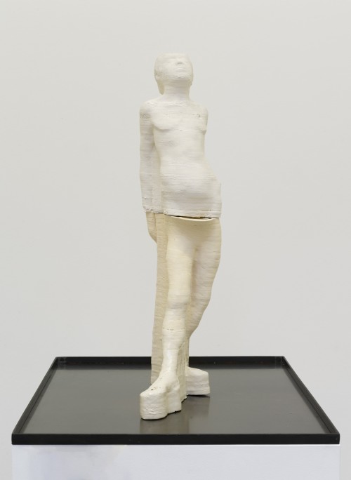 Antoine Renard - amnesia