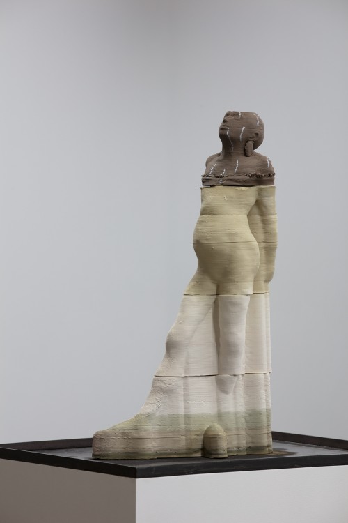 Antoine Renard - amnesia