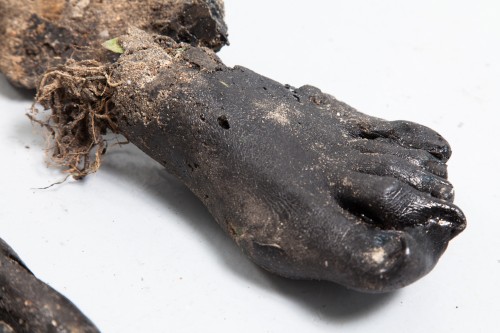 Antoine Renard - Black Dance