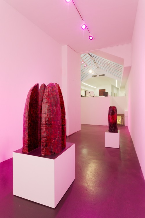 Antoine Renard - DEMONS