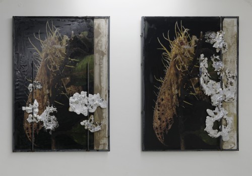 Antoine Renard - Resource Operations Part II (eden park)