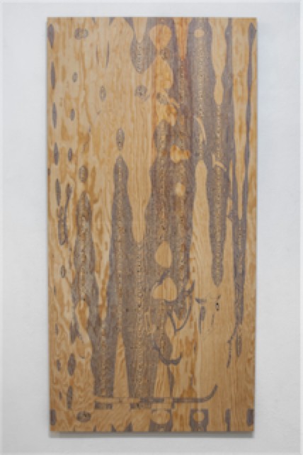 Antoine Renard - meatwad fan club