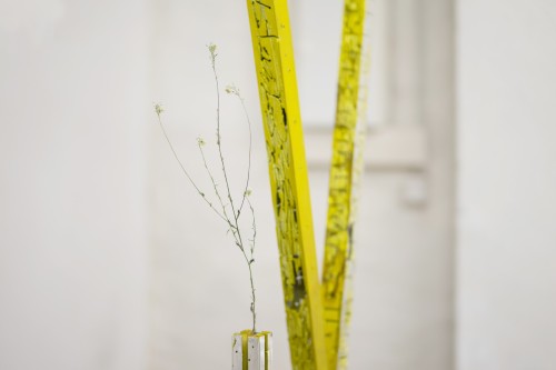 Antoine Renard - geometries of L.O.V.E.