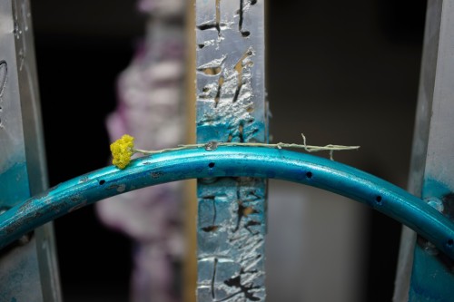 Antoine Renard - geometries of L.O.V.E.