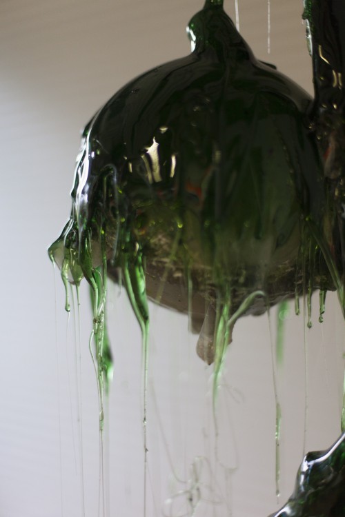 Antoine Renard - I spell it Nature