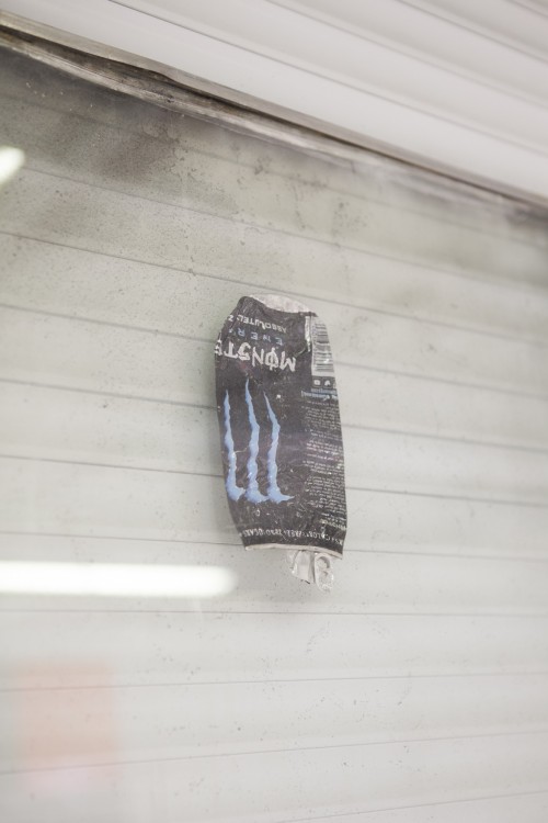 Antoine Renard - I spell it Nature