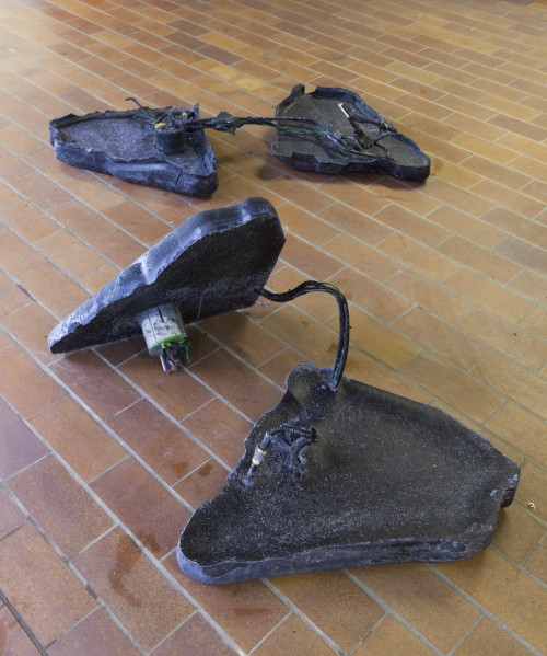 Antoine Renard - I spell it Nature