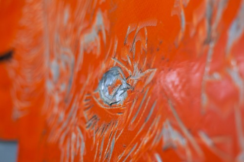 Antoine Renard - I spell it Nature