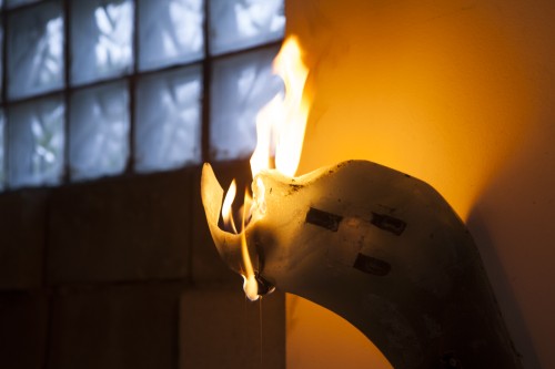 Antoine Renard - I spell it Nature