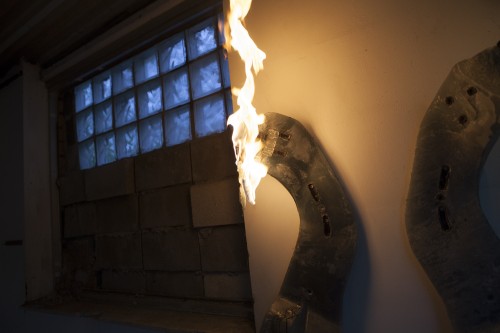 Antoine Renard - I spell it Nature