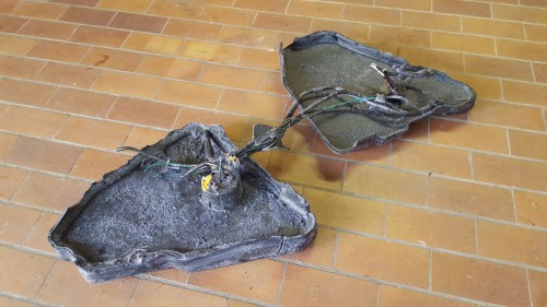 Antoine Renard - I spell it Nature