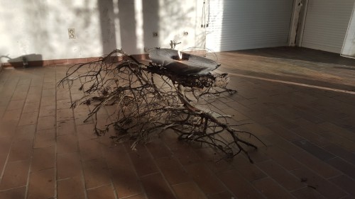 Antoine Renard - I spell it Nature