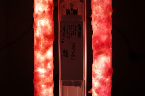 Antoine Renard - in vitro study