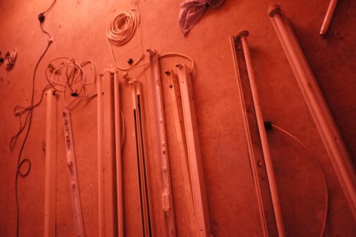 Antoine Renard - in vitro study