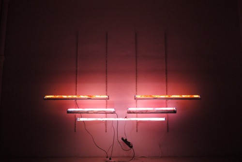 Antoine Renard - in vitro study