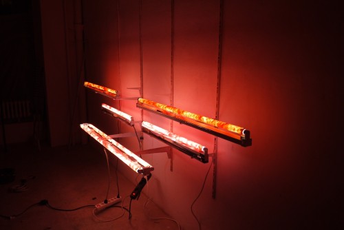 Antoine Renard - in vitro study