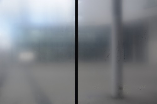 Antoine Renard - Jurassic Haze