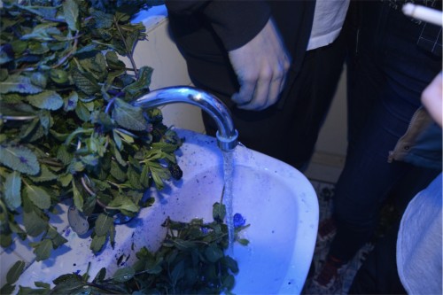 Antoine Renard - Jurassic Haze