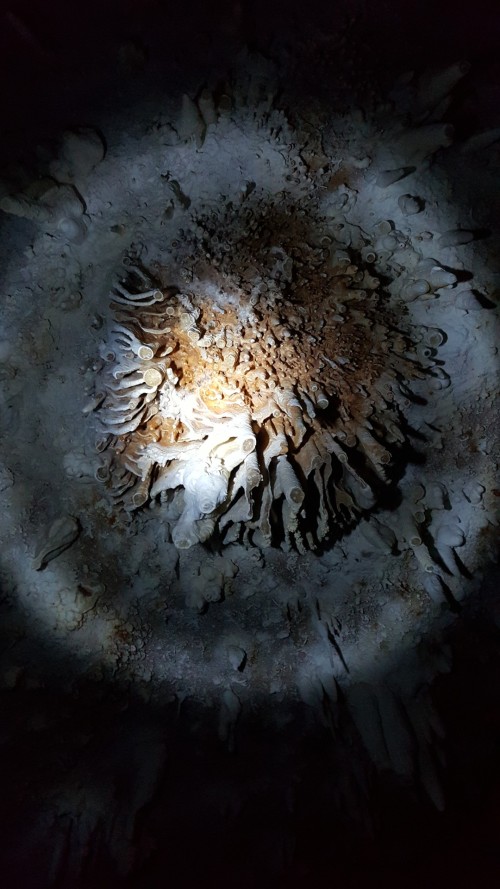 Antoine Renard - SIX MEMOS FOR THE NEXT MILLENIUM