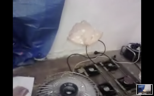 Antoine Renard - meatdrop experiment