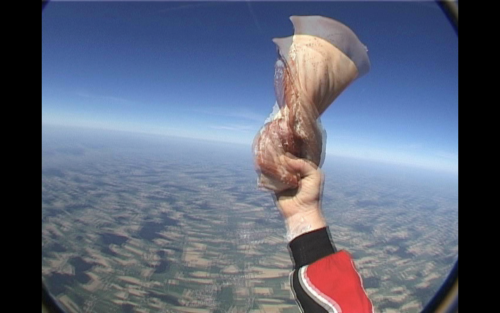 Antoine Renard - meatdrop experiment