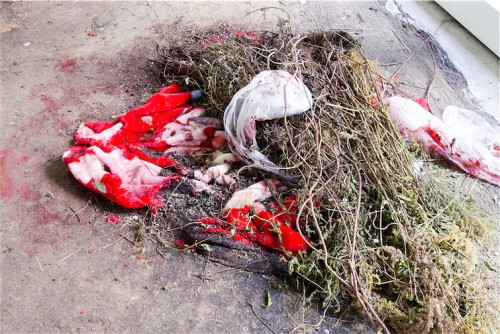 Antoine Renard - DEIMOS LAB (after Tianjin)