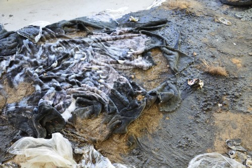 Antoine Renard - DEIMOS LAB (after Tianjin)