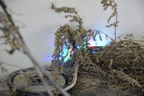 Antoine Renard - DEIMOS LAB (after Tianjin)