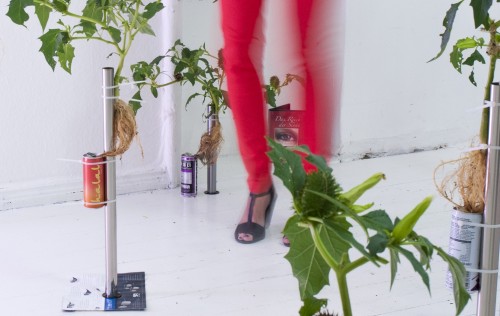 Antoine Renard - open studio 2012