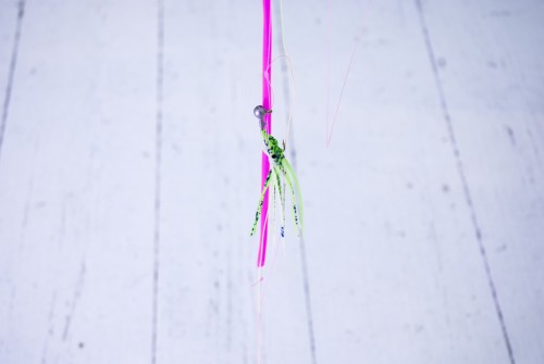 Antoine Renard - open studio 2012