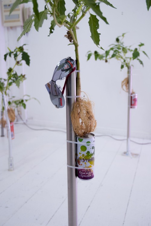 Antoine Renard - open studio 2012