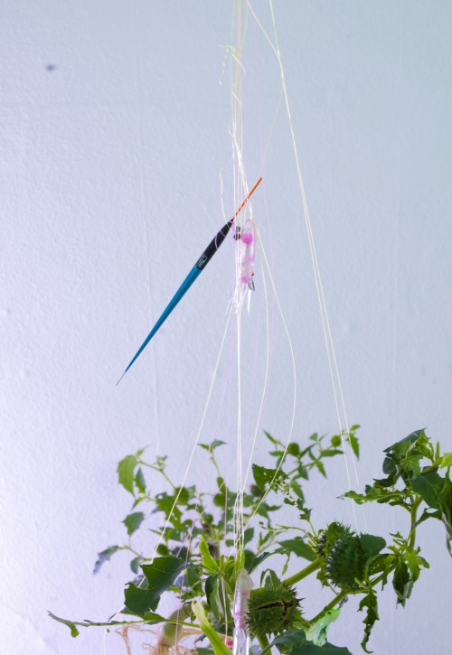 Antoine Renard - open studio 2012