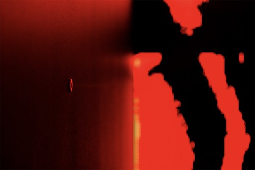 Antoine Renard - psychobotania