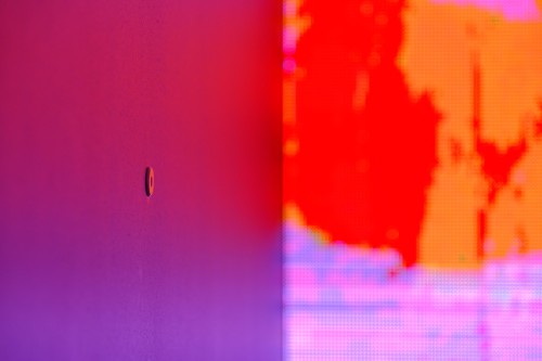 Antoine Renard - psychobotania