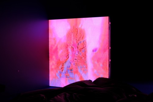 Antoine Renard - psychobotania