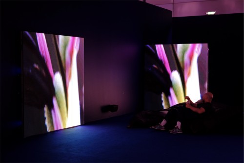 Antoine Renard - psychobotania