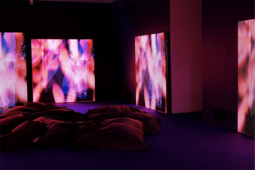 Antoine Renard - psychobotania