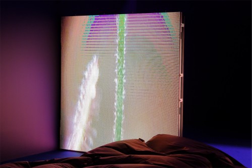 Antoine Renard - psychobotania