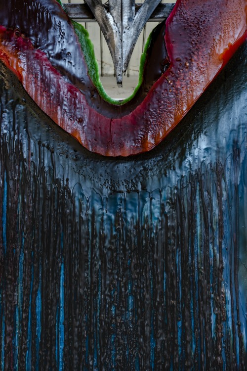 Antoine Renard - veins