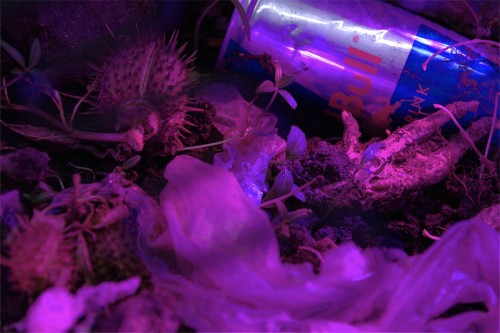 Antoine Renard - Fucked up couch