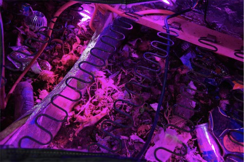 Antoine Renard - Fucked up couch